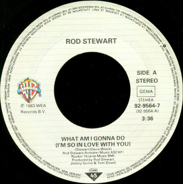 Rod Stewart : What Am I Gonna Do (I'm So In Love With You) (7", Single)
