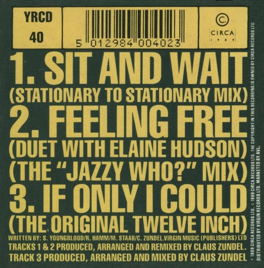 Sydney Youngblood : Sit And Wait (CD, Mini, Single)