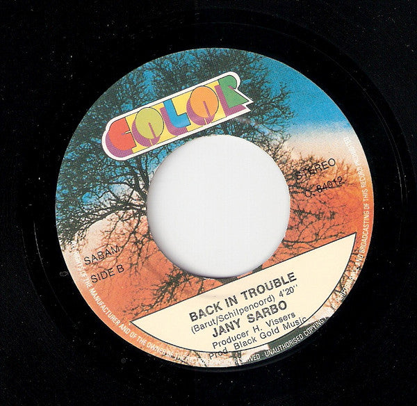 Jany Sabo : If You Wern't Here  (7", Single)