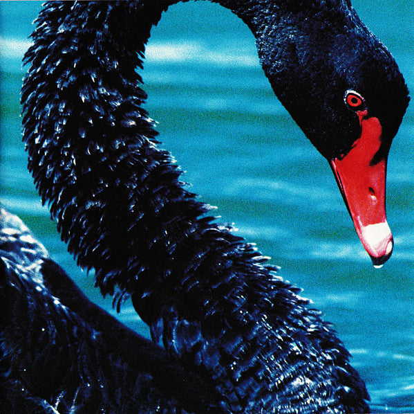 The Triffids : The Triffids Present The Black Swan (CD, Album)