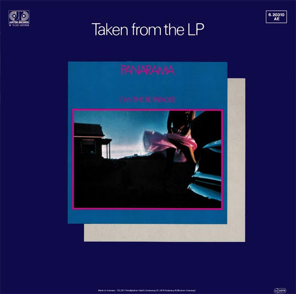Panarama : In This World (12", Maxi)