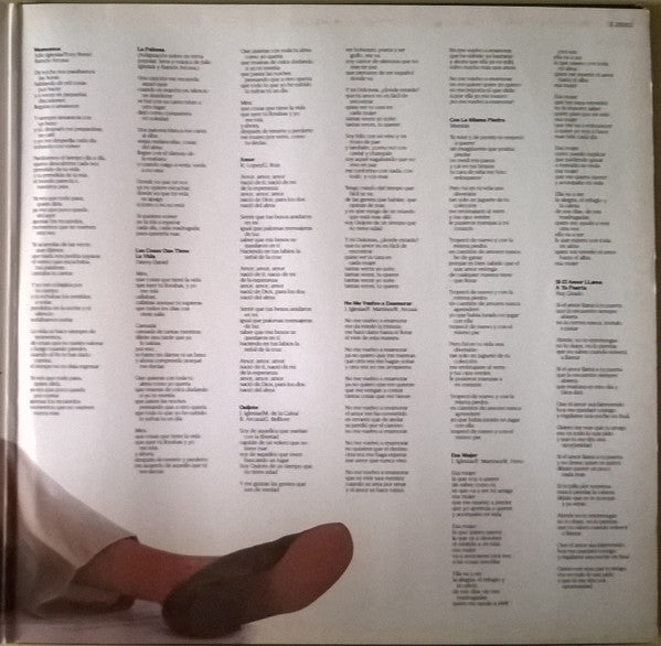 Julio Iglesias : Momentos (LP, Album, Gat)