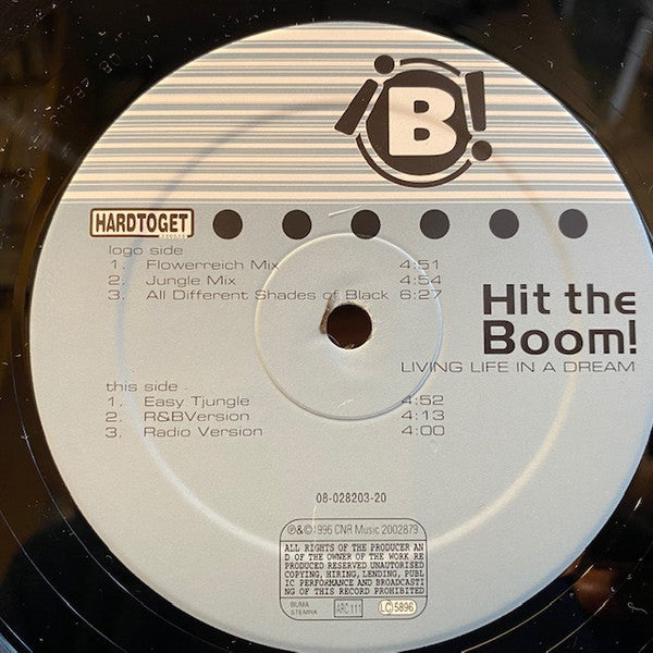 Hit The Boom : Living Life In A Dream (12")