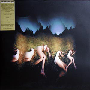 Amorphous Androgynous : The Isness (2xLP, Album)