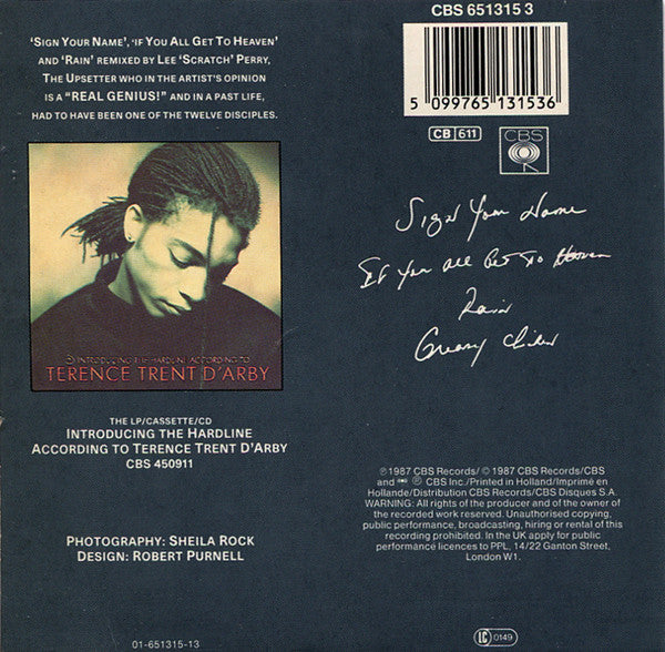 Terence Trent D'Arby : Sign Your Name (Lee 'Scratch' Perry Remixes) (CD, Mini)