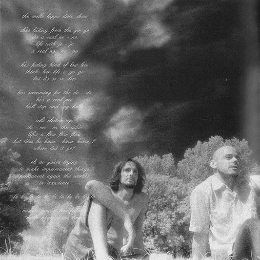 Amorphous Androgynous : The Mello Hippo Disco Show (CD, EP)
