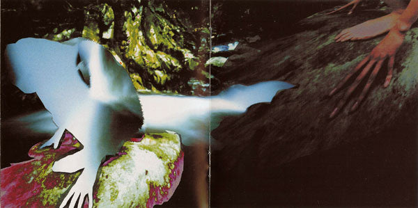 Amorphous Androgynous : The Mello Hippo Disco Show (CD, EP)