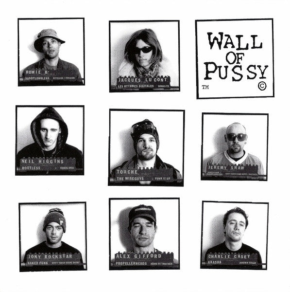 Various : Wall Of Pussy (CD, Comp)