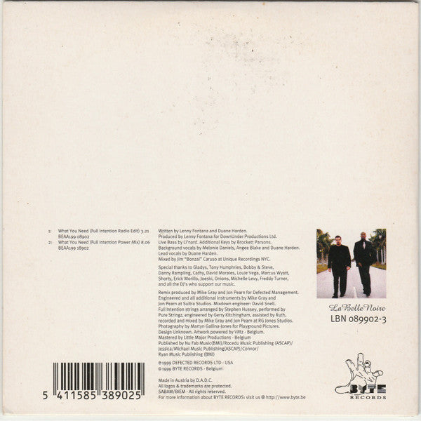 Powerhouse Feat. Duane Harden : What You Need (CD, Single)