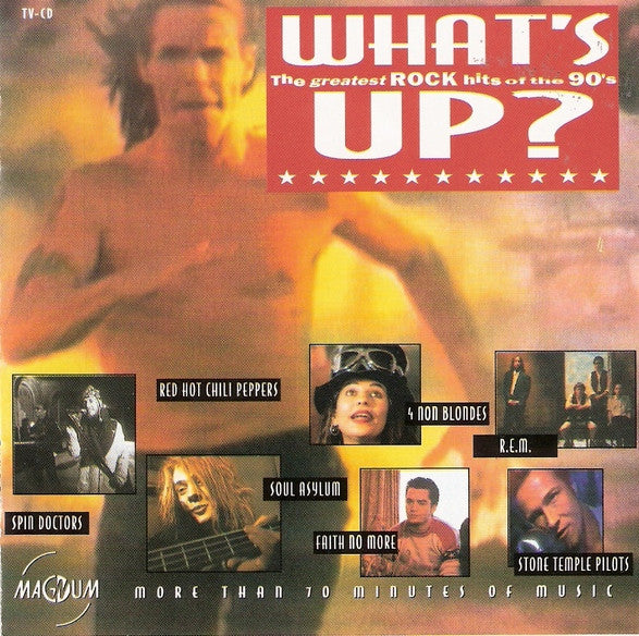 Various : What's Up? (The Greatest Rock Hits Of The 90's) (CD, Comp)