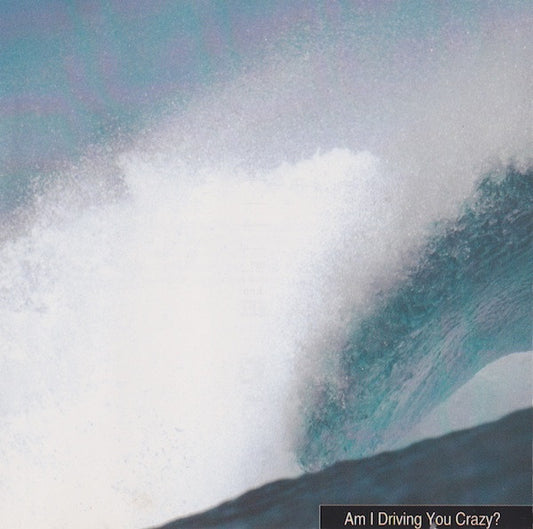 Seam : Are You Driving Me Crazy? (CD, Album)