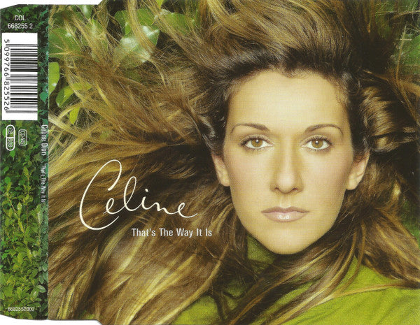 Céline Dion : That's The Way It Is (CD, Maxi)