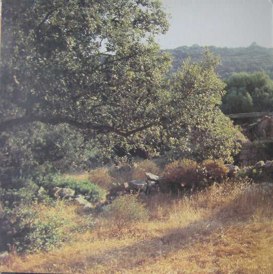 Yves Duteil : La Langue De Chez Nous (LP, Album, Gat)